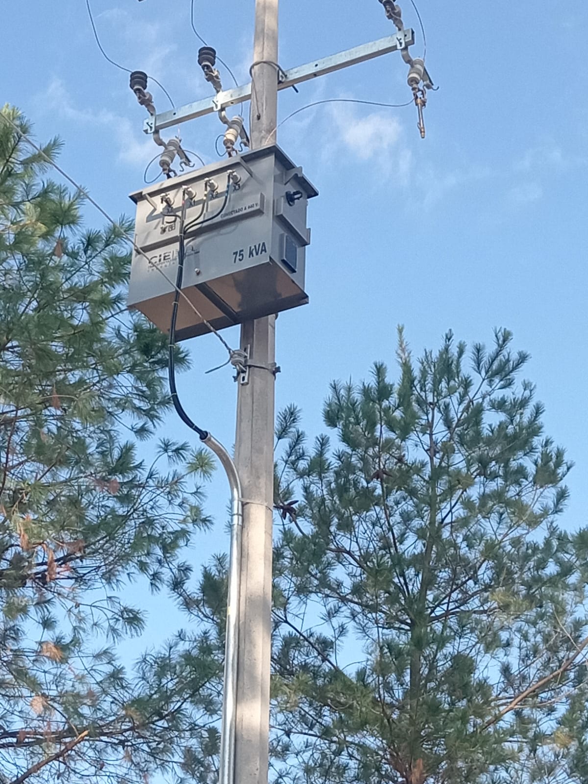 WhatsApp Image 2025-12-29 at 14.22.54 (2)