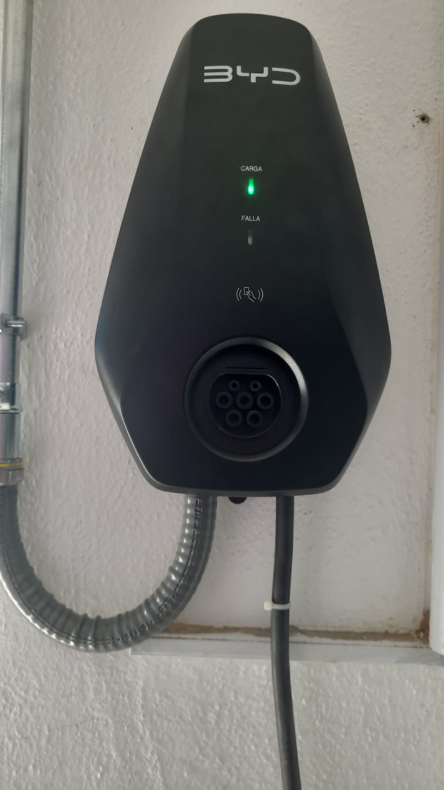 WhatsApp Image 2025-12-29 at 14.36.28 (1)